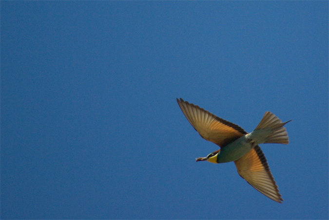 Otro vuelo...