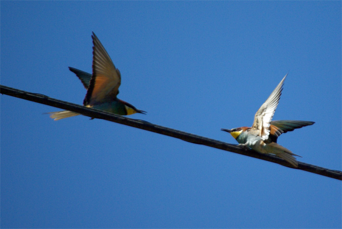 Desacuerdo territorial