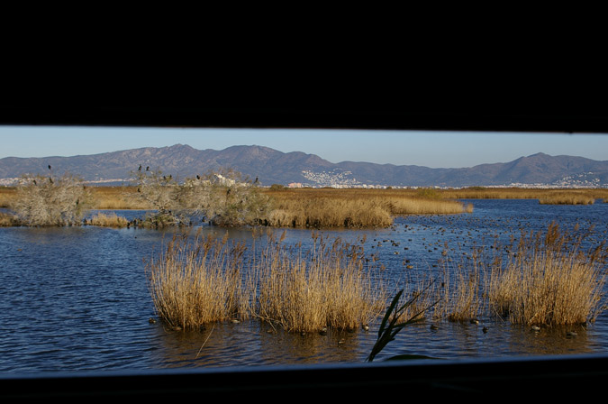 Aiguamolls de L'Empordá