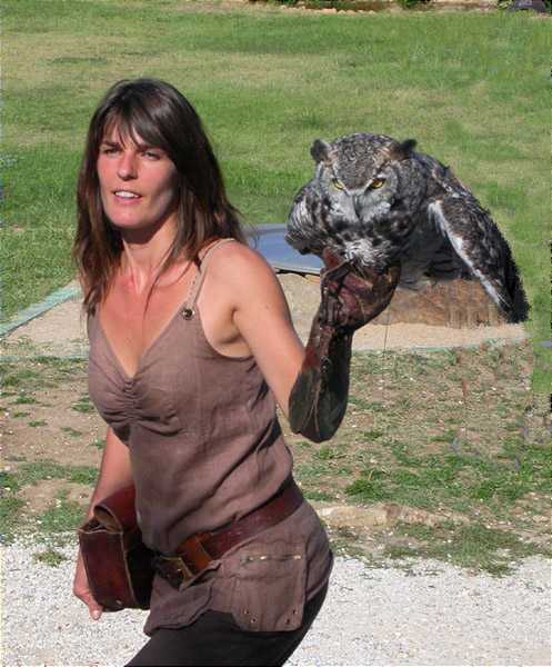 Gran duc americà 2, grand-duc d'Amérique, buho cornudo, great horned owl (Bubo virginianus)