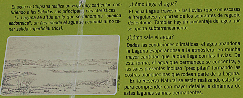 Reserva Natural de las Saladas de Chiprana