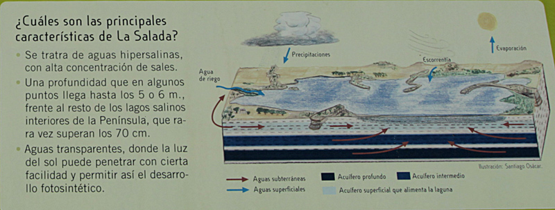 Reserva Natural de las Saladas de Chiprana