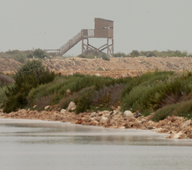 Mirador de la Punta de la Banya