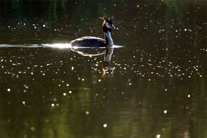 "jugando con la luz"