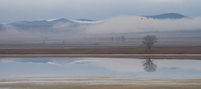 Laguna de Gallocanta