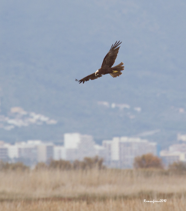 Vols i paissatge: Arpella III