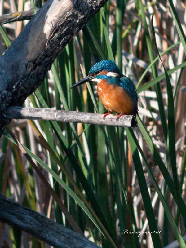 Escapada a l'Ebre.