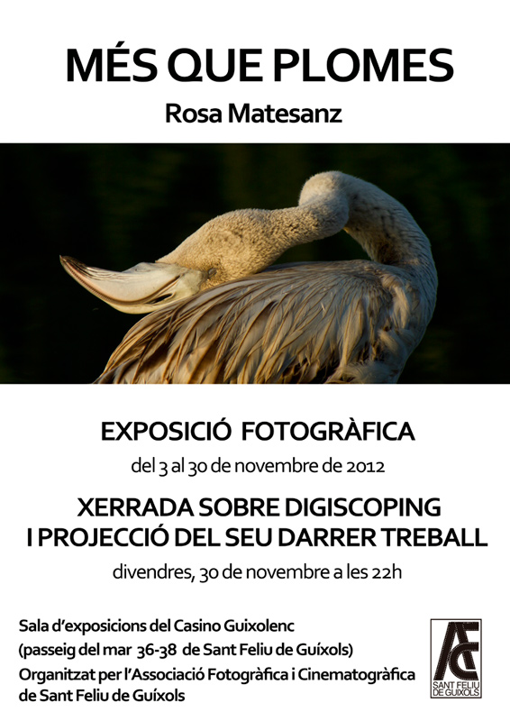 EXPO DIGISCOPING