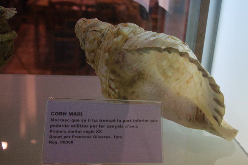 Corn Marí