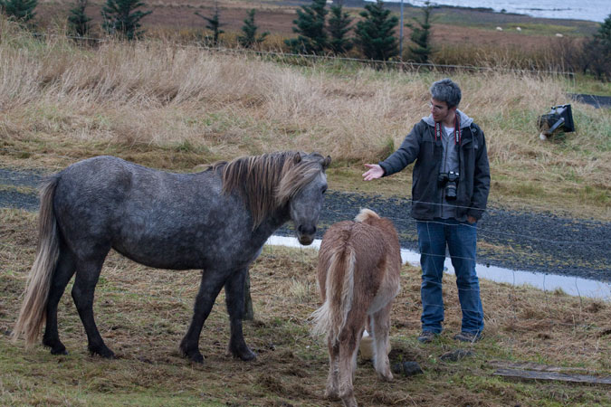 Cavalls i Pere