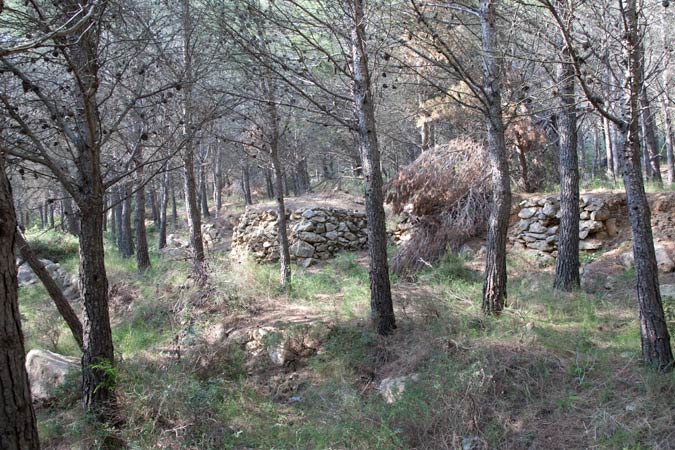 Barraca de Roure