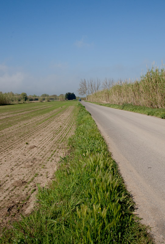 Carretera