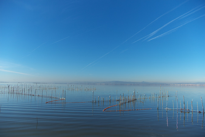 Llac de l'Albufera, des de la Gola de Pujol