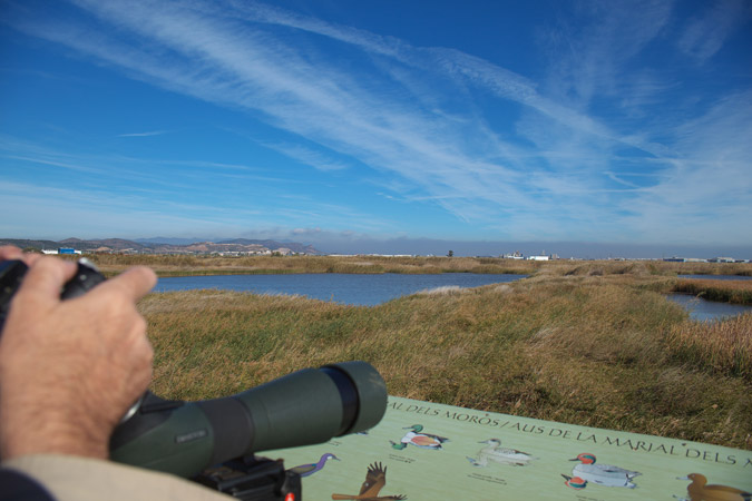 Fent digiscoping amb la coolpix