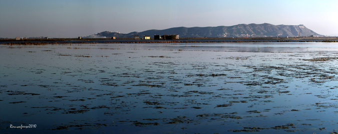 Panoràmica Albufera de València