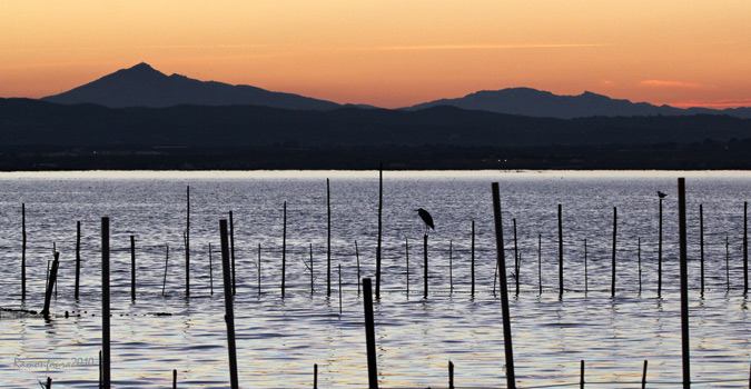 Capvespre a l'Albufera