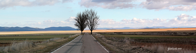 Panoràmiques Gallocanta 2011