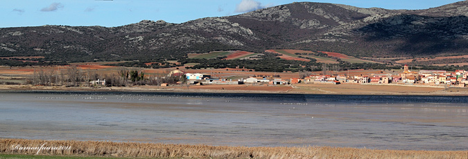 Panoràmiques Gallocanta 2011