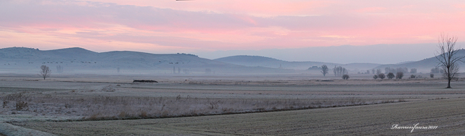 Panoràmiques Gallocanta 2011