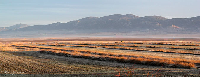 Panoràmiques Gallocanta 2011