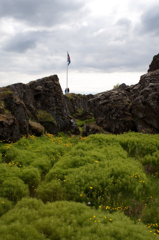 Pingvellir.Circulo dorado