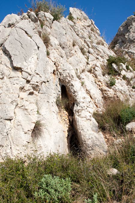 Cau del olivar d'en Margall