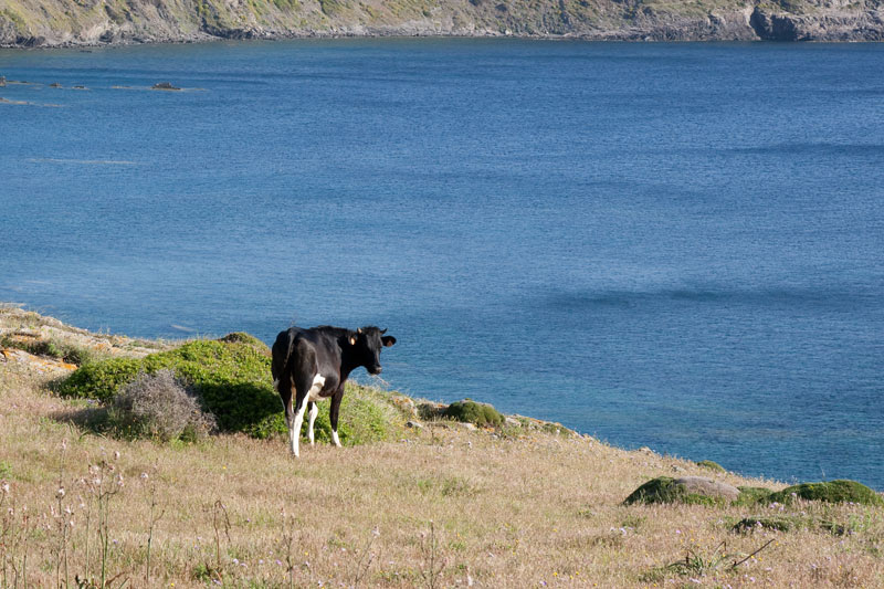 Menorca. Camí de Cavalls