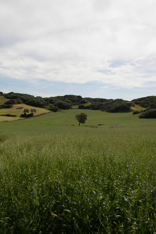 Menorca. Camí de Cavalls