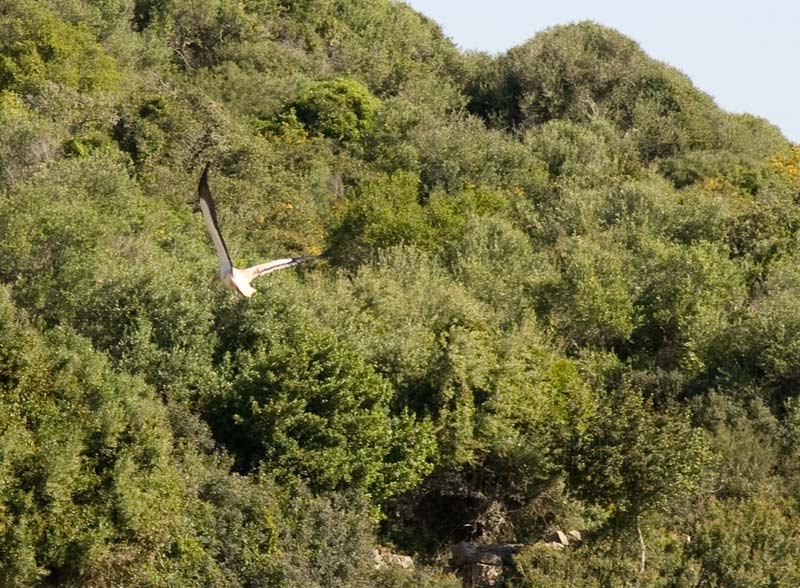 Menorca. Camí de Cavalls