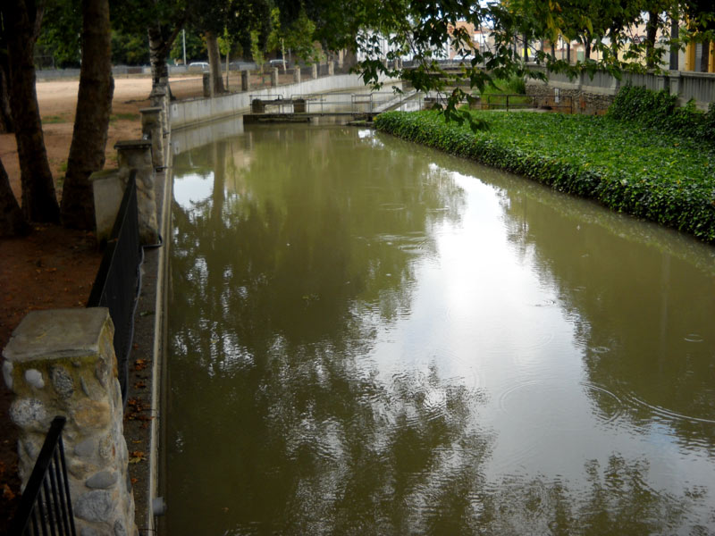 Passeig del Ter de Manlleu 2 de 11