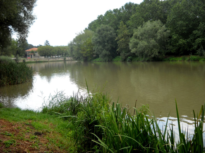 Passeig del Ter de Manlleu 10  de 11