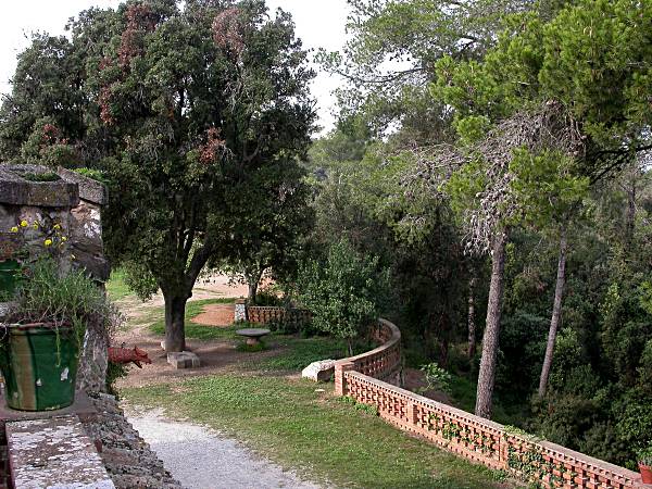 Jardins i boscos al voltant de Can Coll