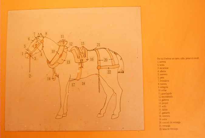 Arreus de cavall per tirar d'un carro