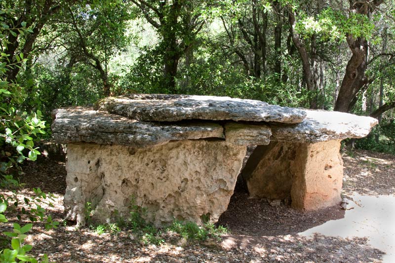 Dolmen Can Serra de l'Arca II o Costa de Can Brull