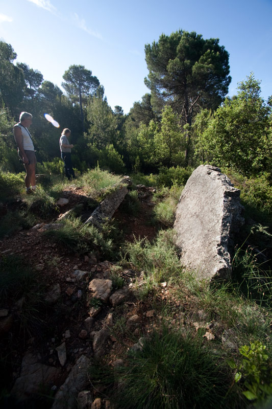 Dolmen de Cruïlles