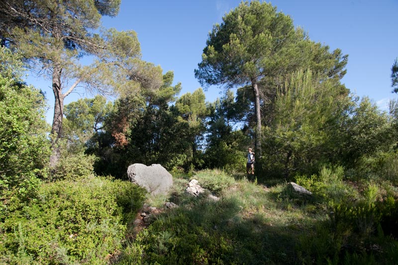 Dolmen de Cruïlles