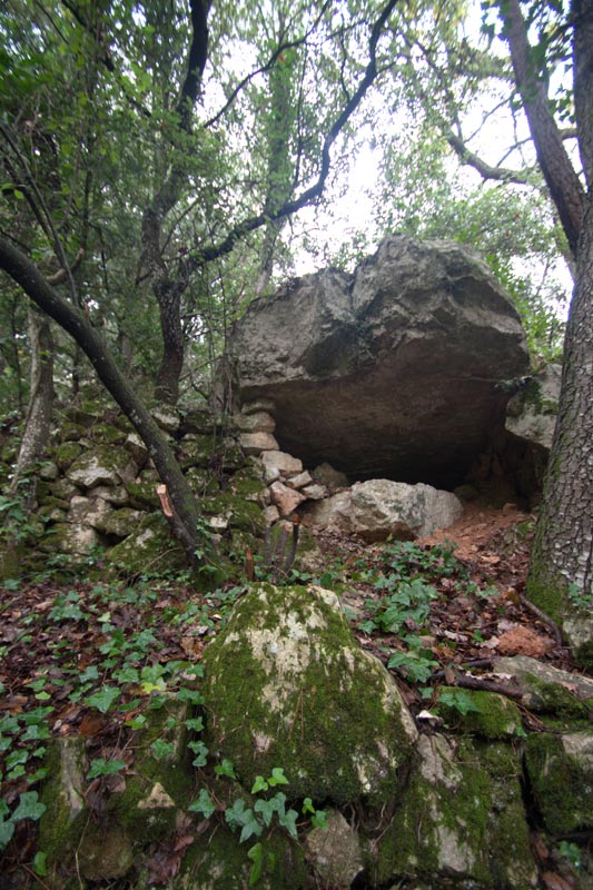 Dolmen de Casanovas