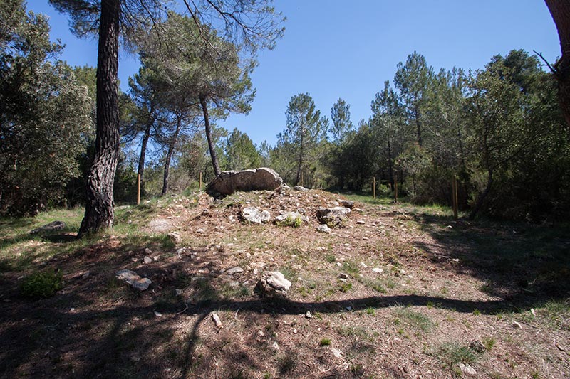 Dolmen de Cruïlles