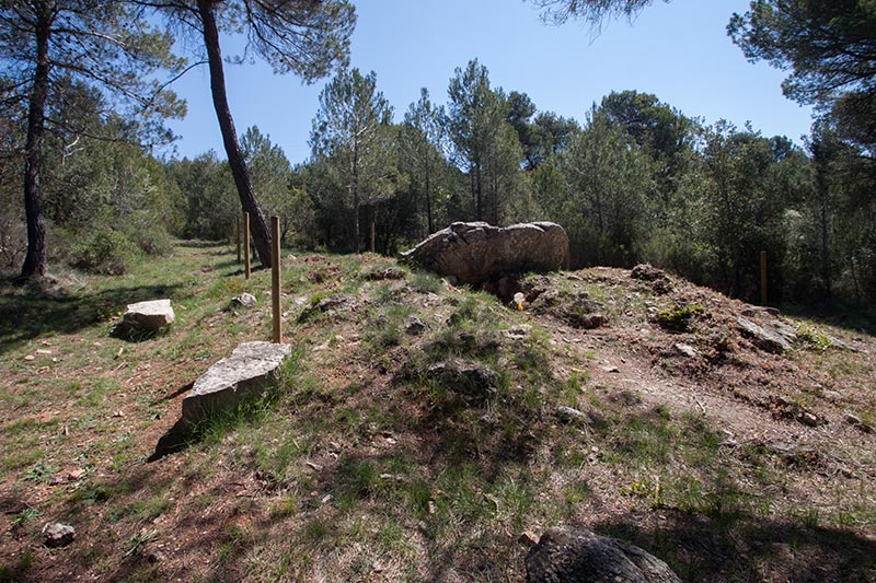 Dolmen de Cruïlles