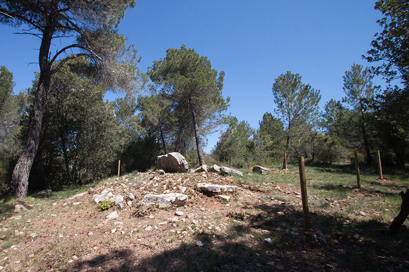 Dolmen de Cruïlles