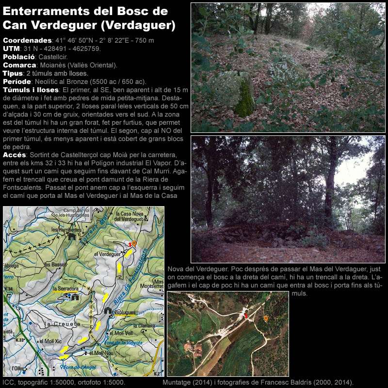 Enterraments del Bosc de Can Verdeguer 1/2