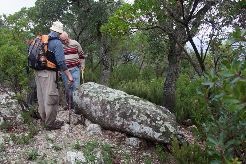 Menhir de can Mont