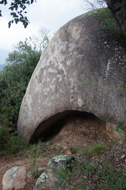 Cova d'en Sardineta