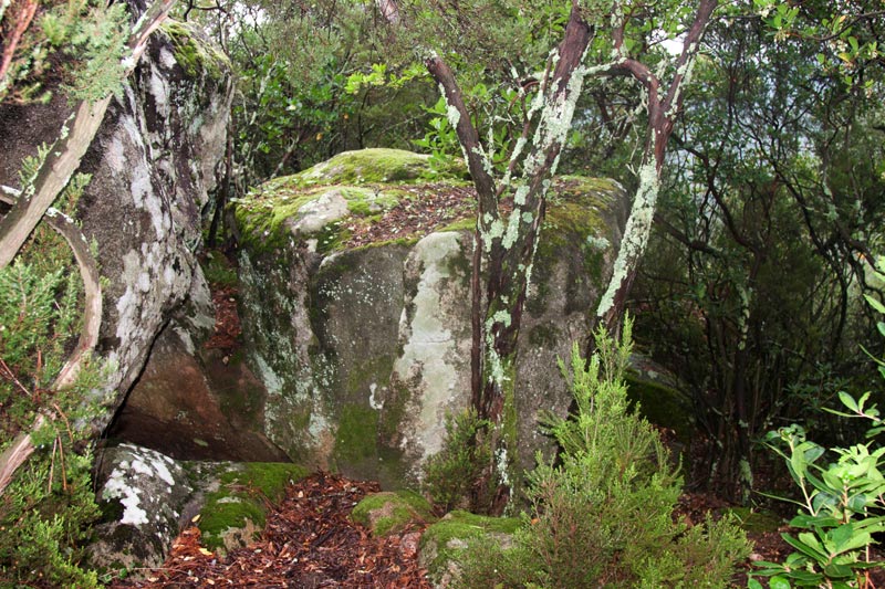 Cova de l'Ullastre