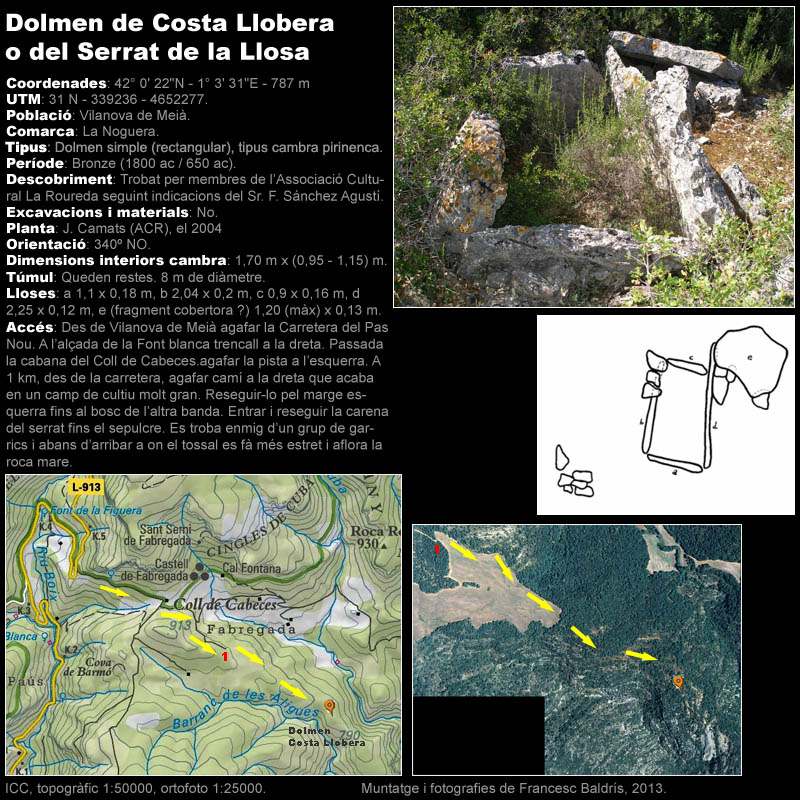 Dolmen de Costa LLobera (o Serrat de la Llosa) 1/2