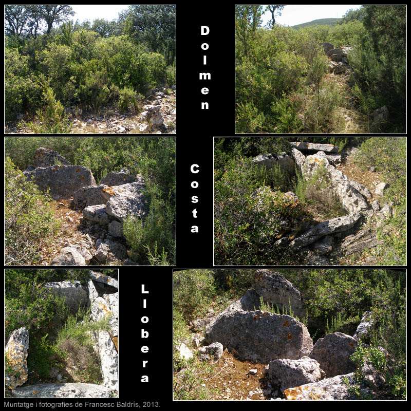 Dolmen de Costa LLobera (o Serrat de la Llosa) 2/2