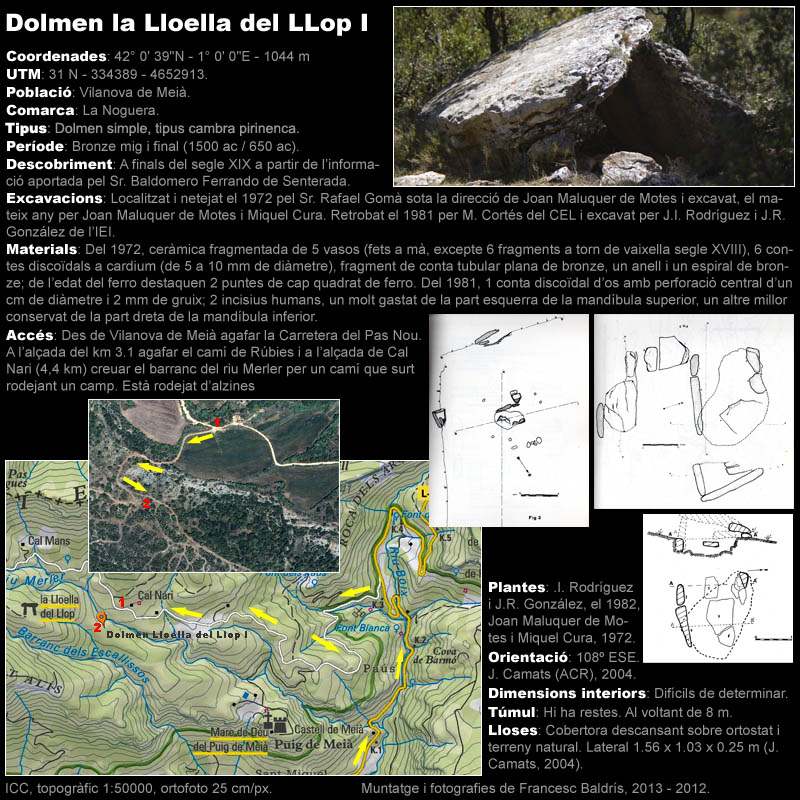 Dolmen de la Lloella del Llop I 1/2