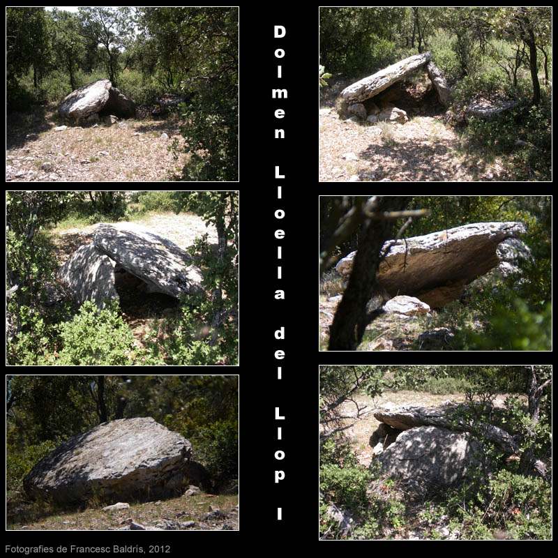 Dolmen de la Lloella del Llop I 2/2