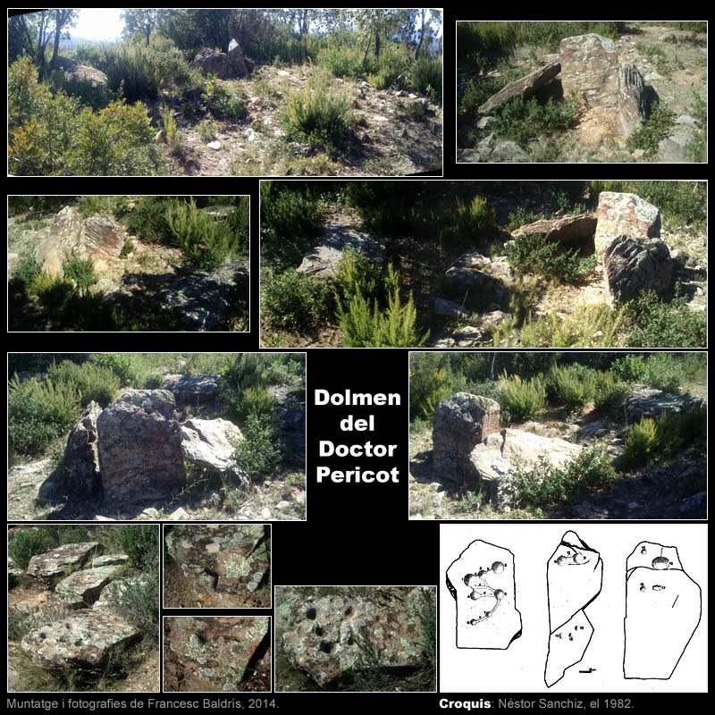 Dolmen del Doctor Pericot 2/2