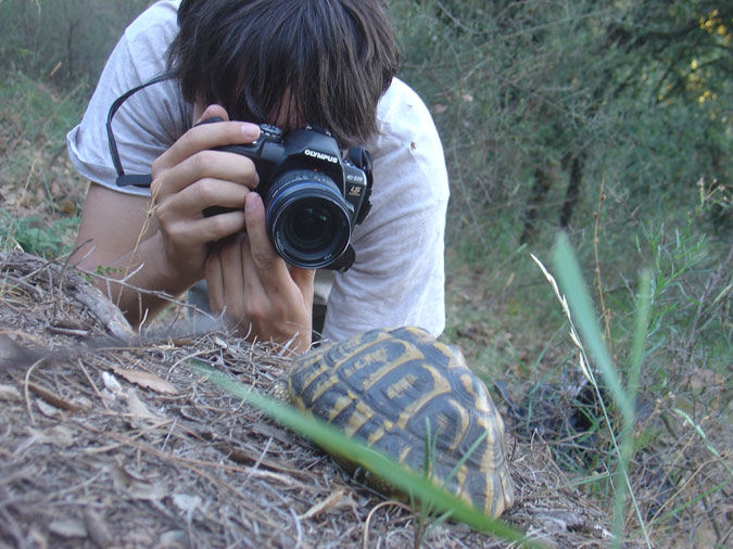 Fotografia herpetològica